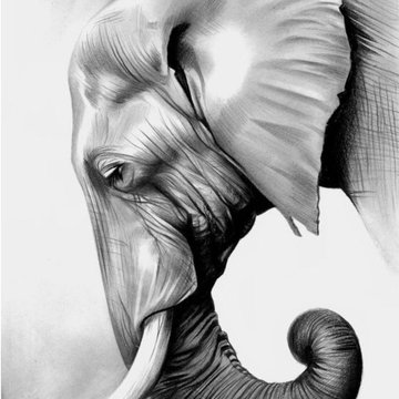 Тату-ескізи "Слон"