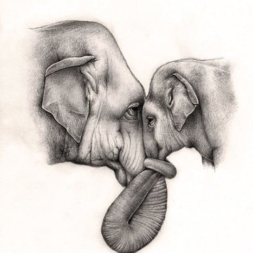 Тату-ескізи "Слон"