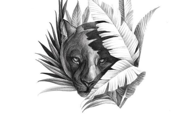 Тату эскизы пумы