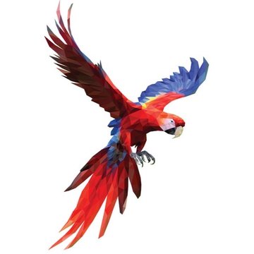 Тату эскизы попугая