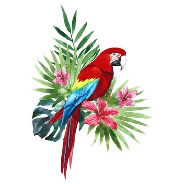 Тату эскизы попугая
