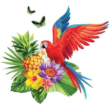 Тату эскизы попугая