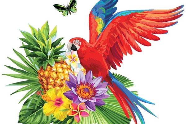 Тату-ескізи "Папуга"