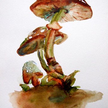 тату-эскиз грибы