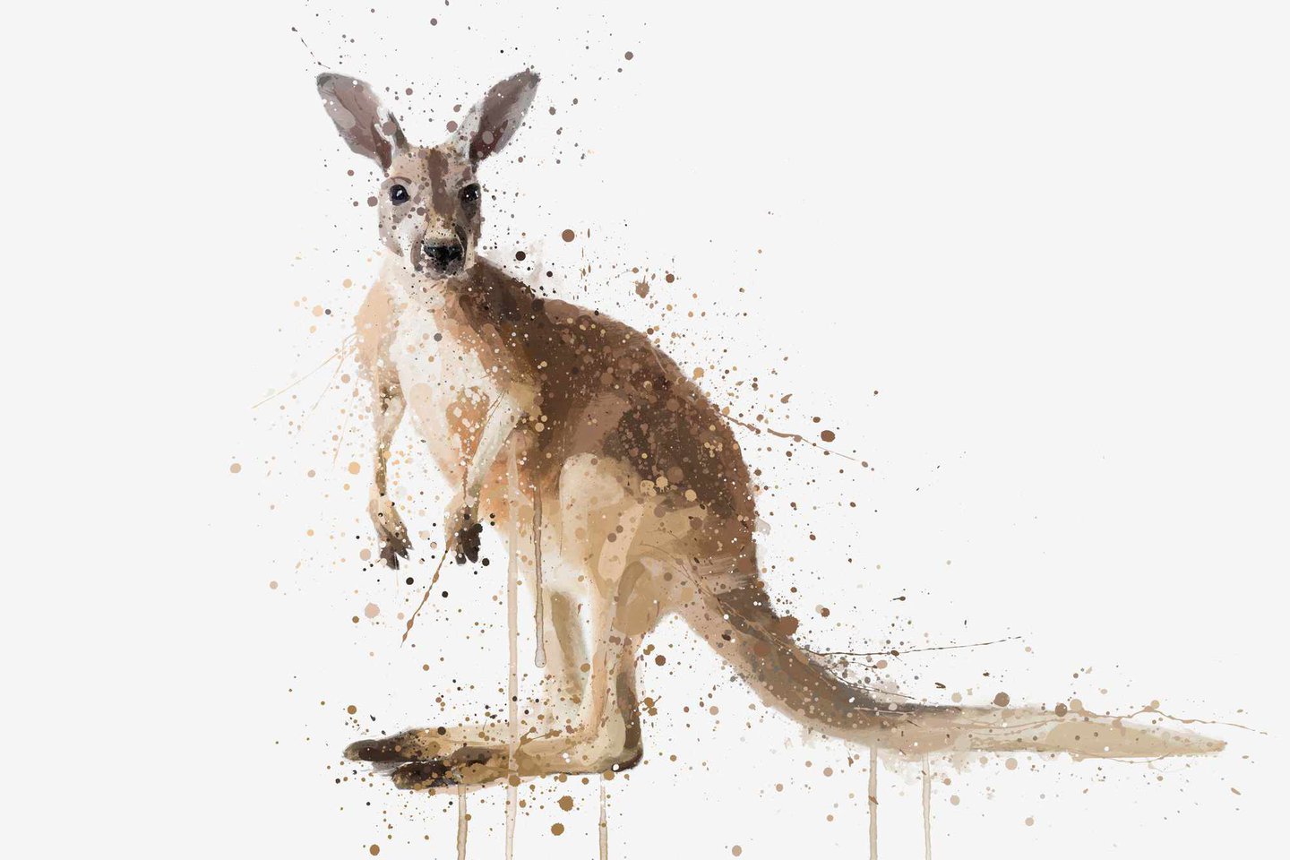 Тату-эскиз кенгуру