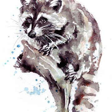 Тату ескізи єнот