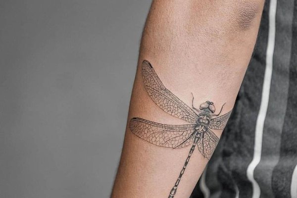 Тату - эскизы стрекоза
