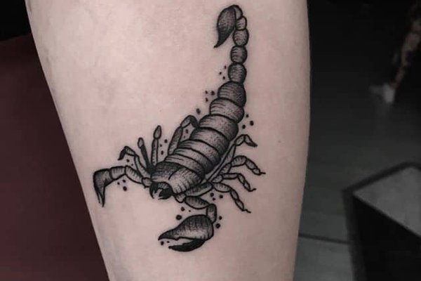 Тату эскизы "скорпион"