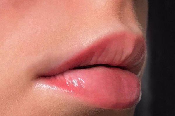 The main points of the program