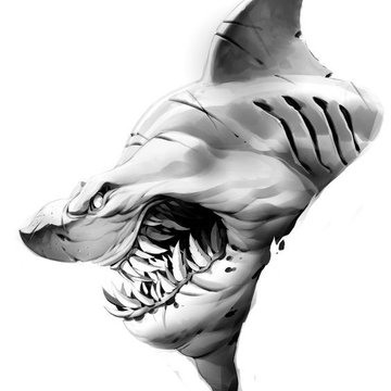 Тату ескізи акули