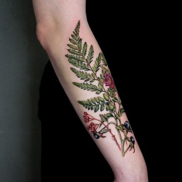 Тату папоротник