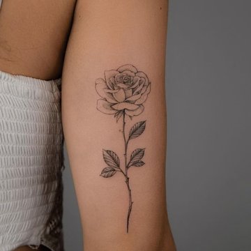 Тату эскизы розы