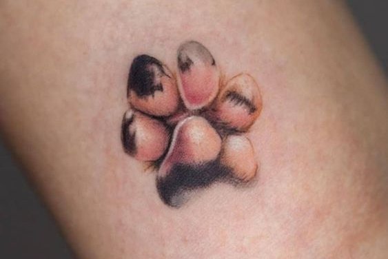 тату у вигляді відбитка лапи