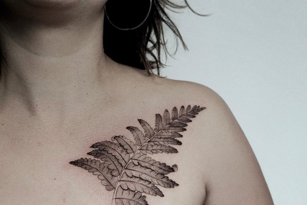 Тату папороть