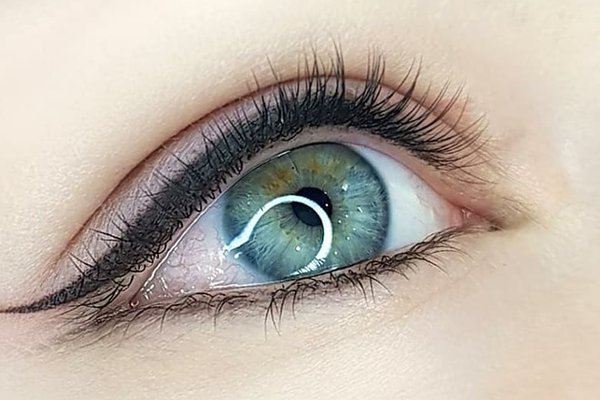 Efficiency of training courses