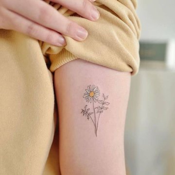 татуювання Маргаритки