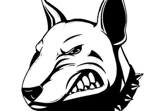 бультерьер татуировка