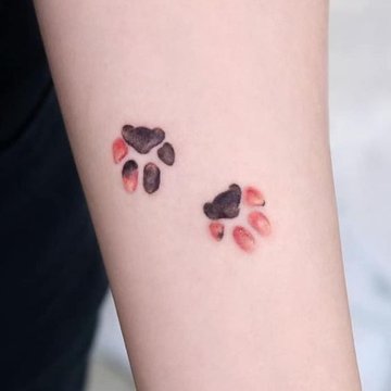 тату в виде отпечатка лапы
