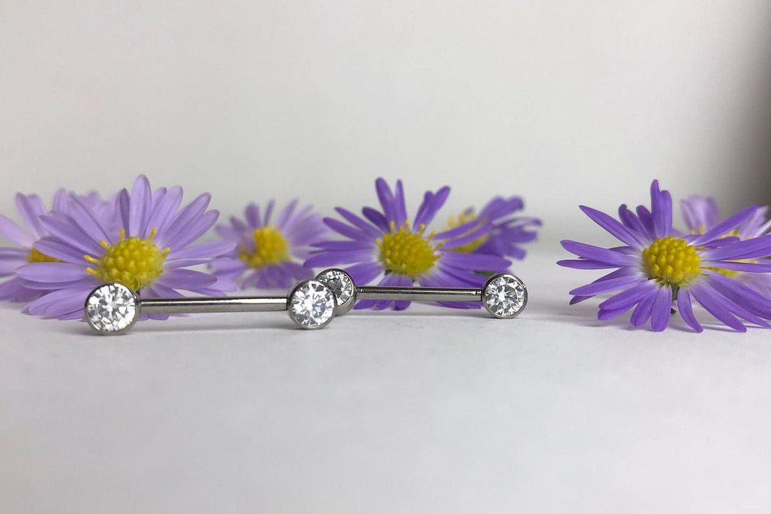 Обучение пирсинг в Каменском