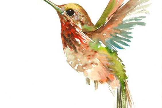 Тату ескізи колібрі