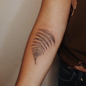 Тату папоротник