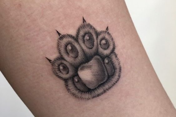 тату у вигляді відбитка лапи