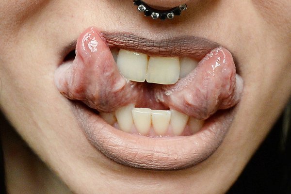 разрез языка на две части