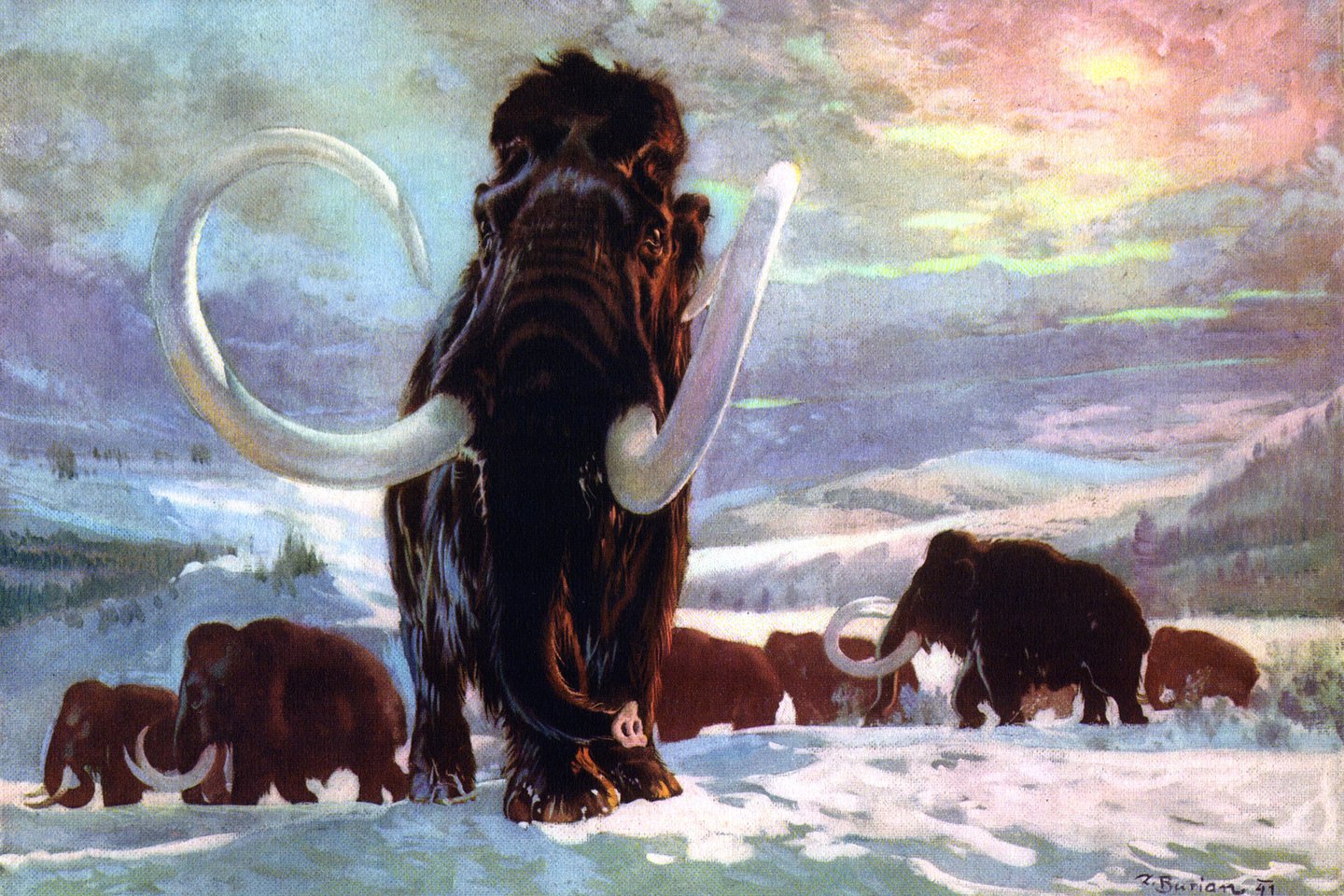 Тату-эскиз мамонт