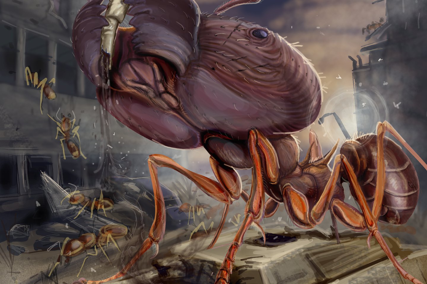 Тату-ескізи мураха