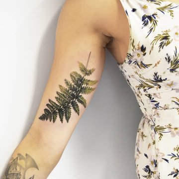 Тату папороть