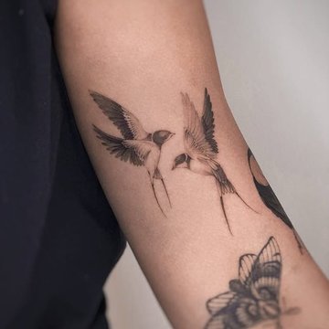 Тату эскизы ласточка