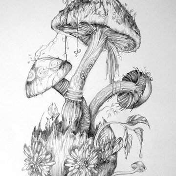 Тату-ескіз гриб