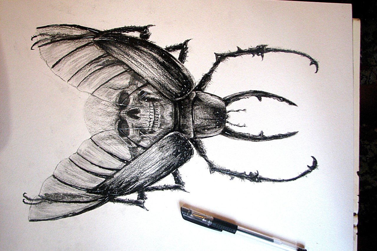 Тату ескіз жук