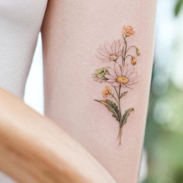 татуировка Маргаритки