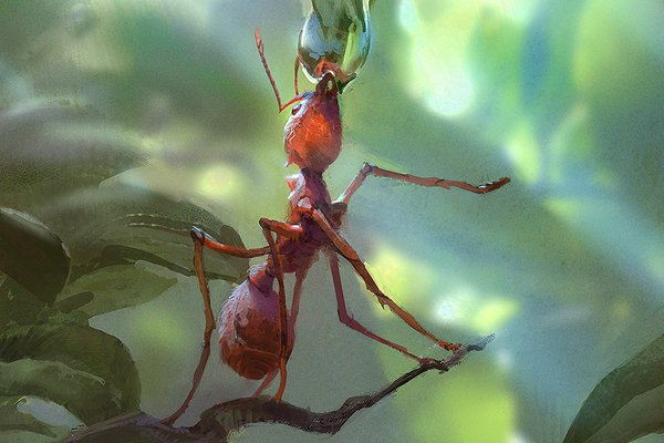 Тату-эскиз муравей