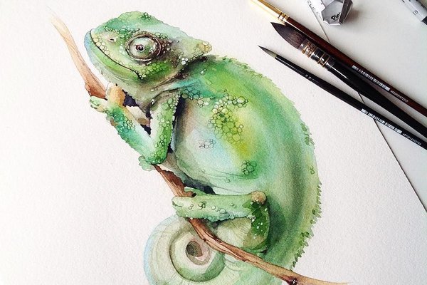 Тату ескізи ігуани