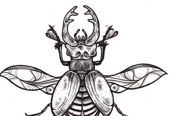 Тату ескіз жук