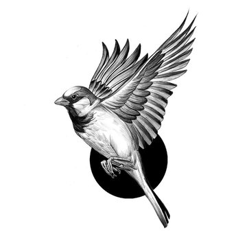 Тату ескізи ластівка