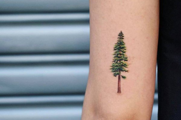 Тату ескізи ялинка