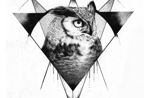 Тату-ескізи "Сова"