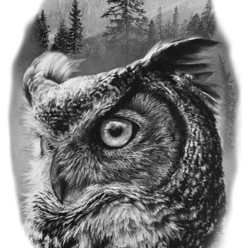 Тату-ескізи "Сова"