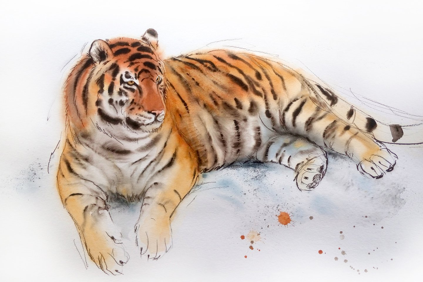 значение тату тигр