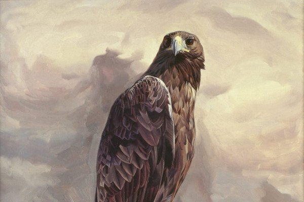 Тату-эскизы "сокол"