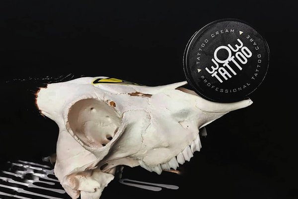 Тату салон в Кропивницком