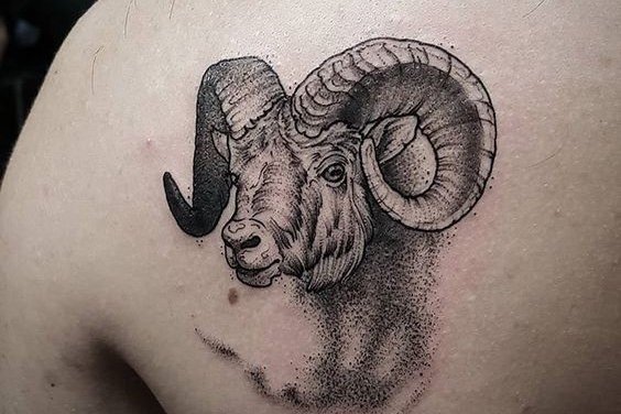 сузір'я Овна