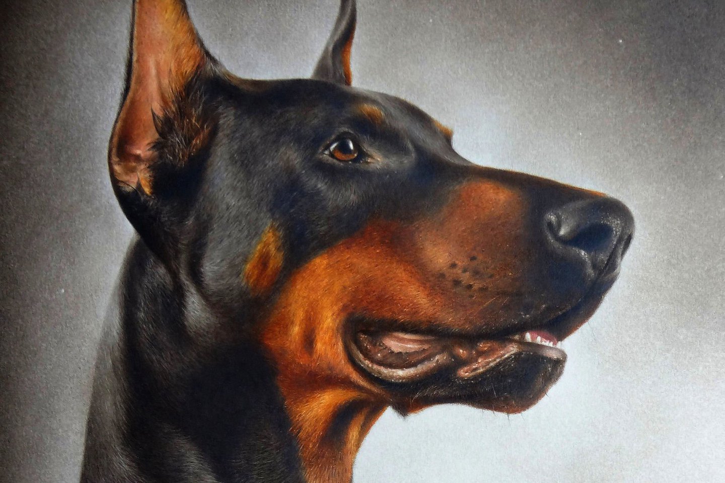 Тату ескізи доберман