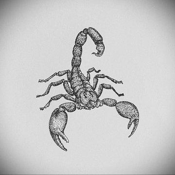 Тату-ескізи "Скорпіон"