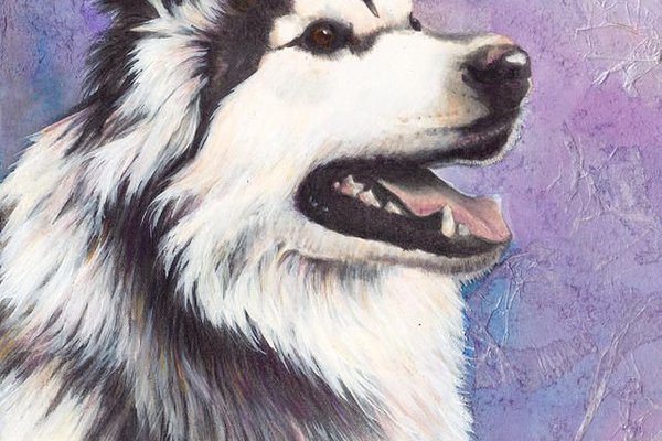 Тату-ескізи "Хаскі"