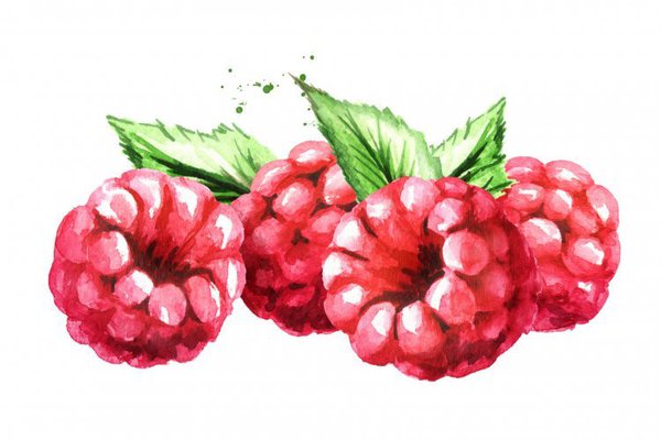 Значення тату ягід