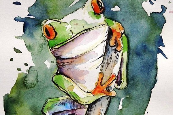 Тату эскизы жабы и лягушки